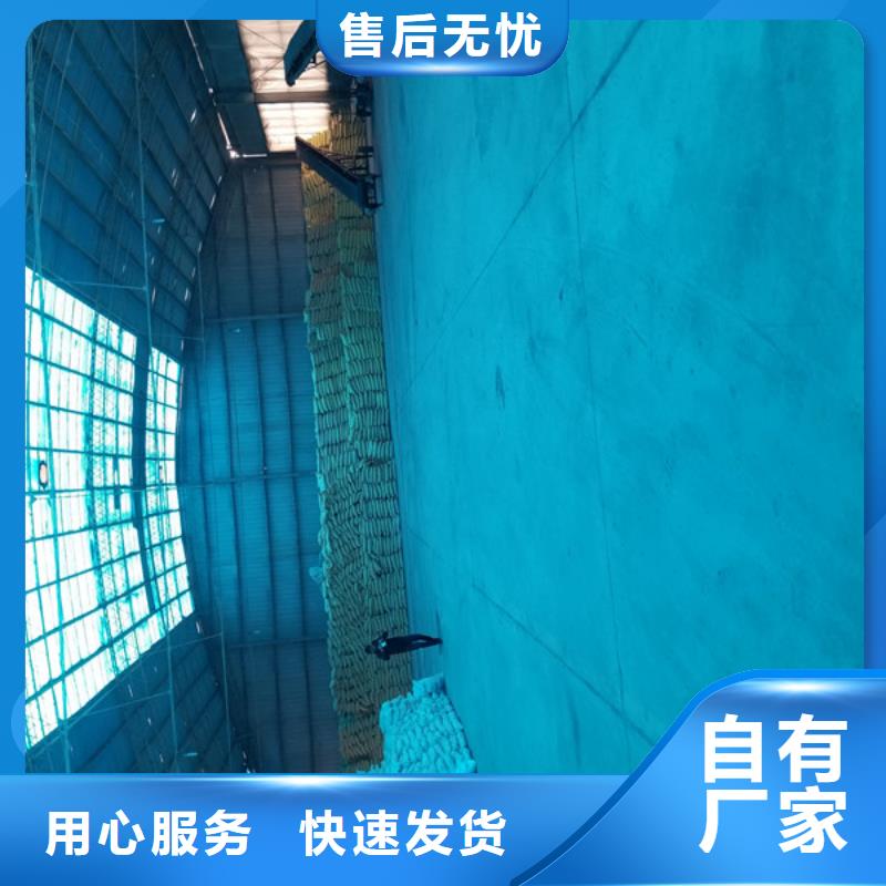 堿式氯化鋁,聚丙烯酰胺精工制作