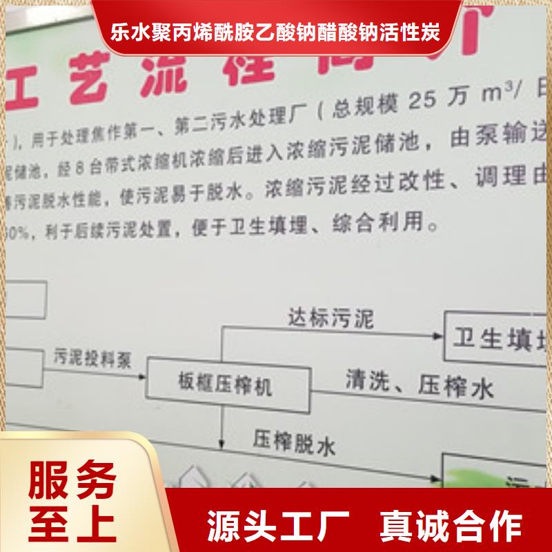 陰離子聚丙烯酰胺-醋酸鈉廠家好品質售后無憂