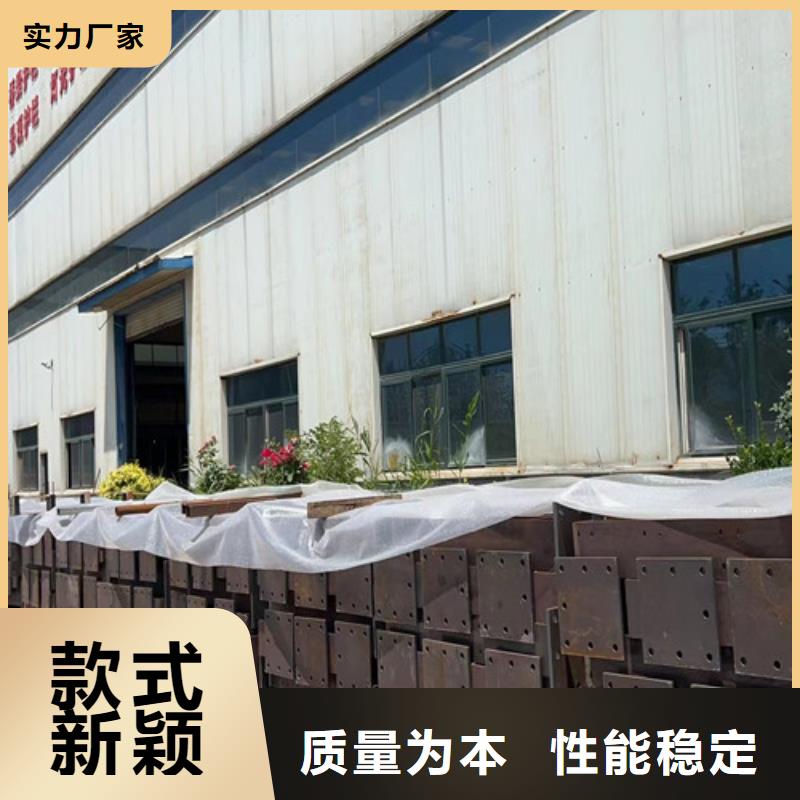 河道護(hù)欄-一心為客戶