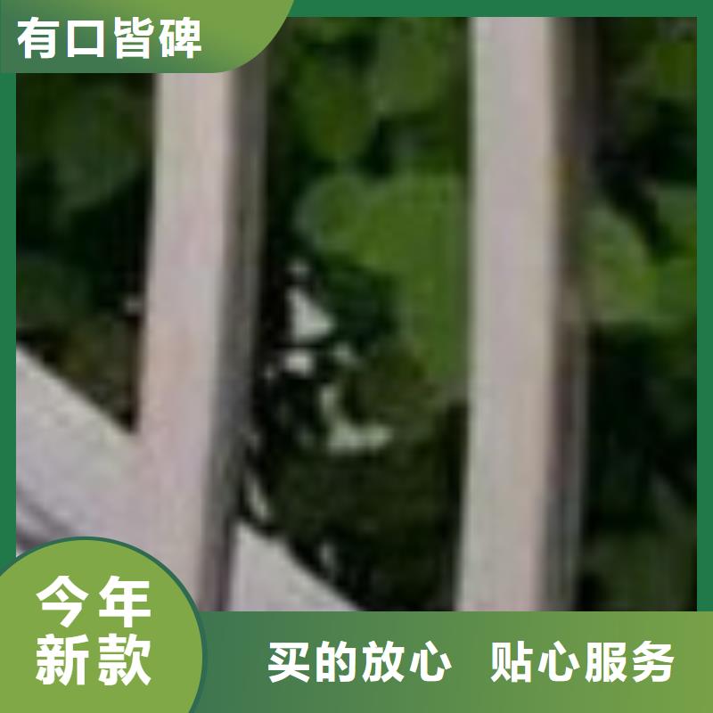 护栏不锈钢景观护栏长期供应