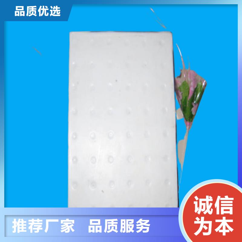 板式橡膠支座-球形支座用心細節
