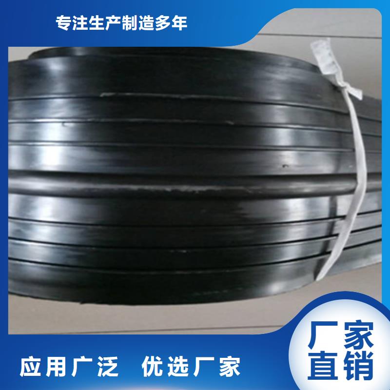 橡膠止水帶_固定鉸支座現(xiàn)貨批發(fā)