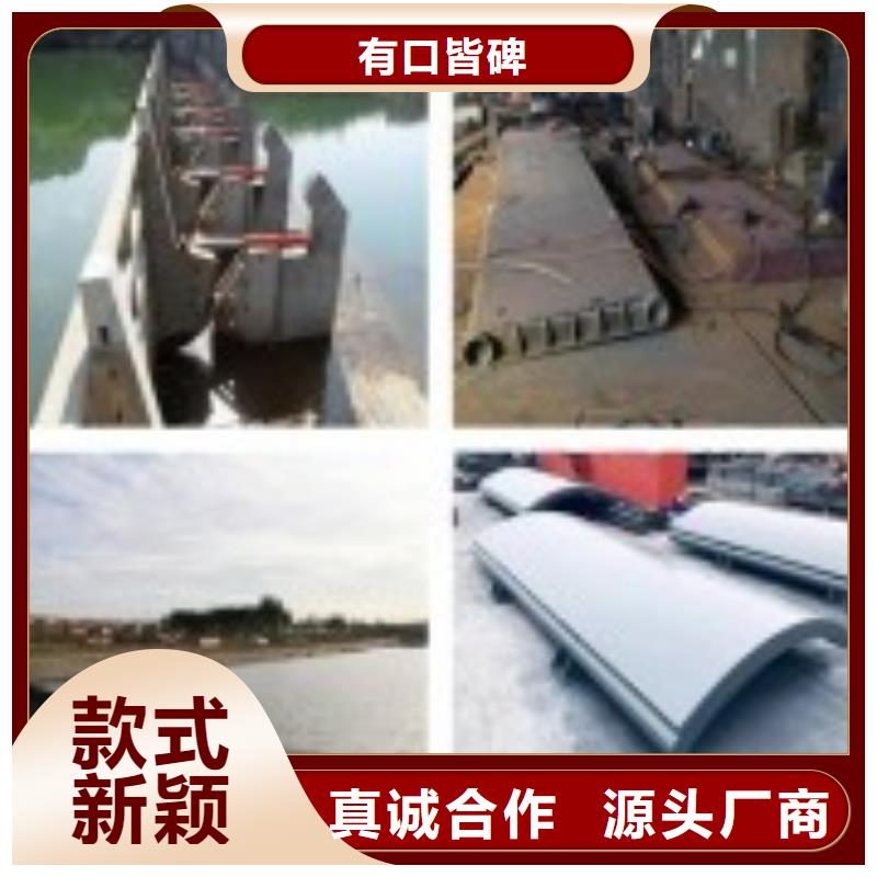 翻板闸门钢制拍门专业生产团队