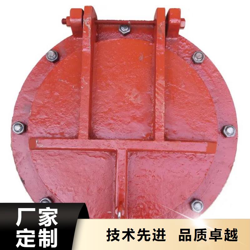 拍门【铸铁闸门】本地厂家值得信赖