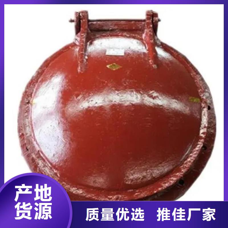 拍门,铸铁闸门厂家真实拍摄品质可靠