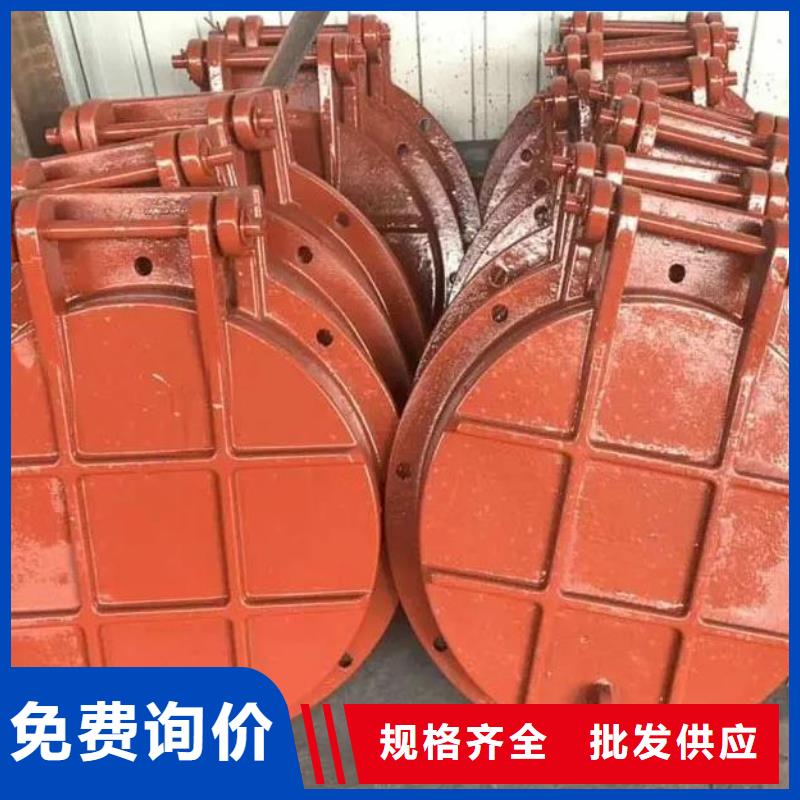 拍门_钢制拍门常年出售