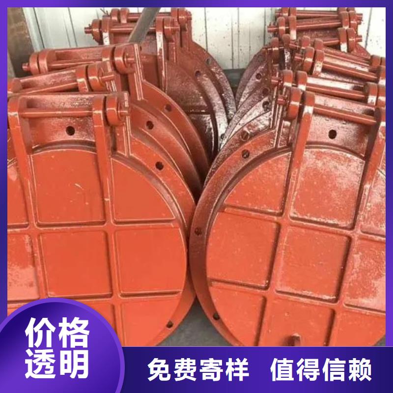拍门-螺杆启闭机欢迎新老客户垂询