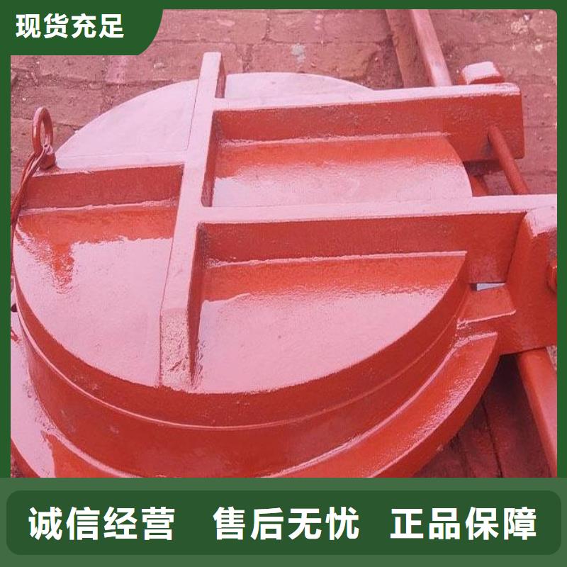 拍门卷扬启闭机厂家多年厂家可靠