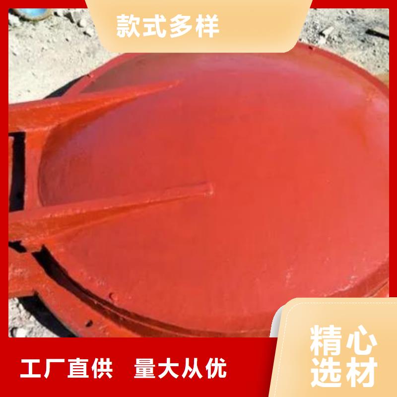 拍門鋼制拍門品質(zhì)有保障