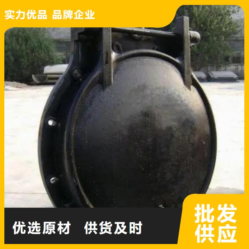 拍门铸铁闸门品种全