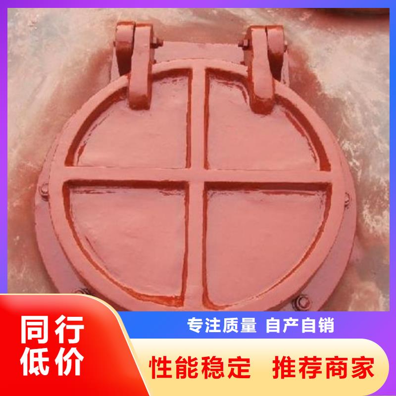 拍门,【手摇卷扬启闭机】好品质经得住考验