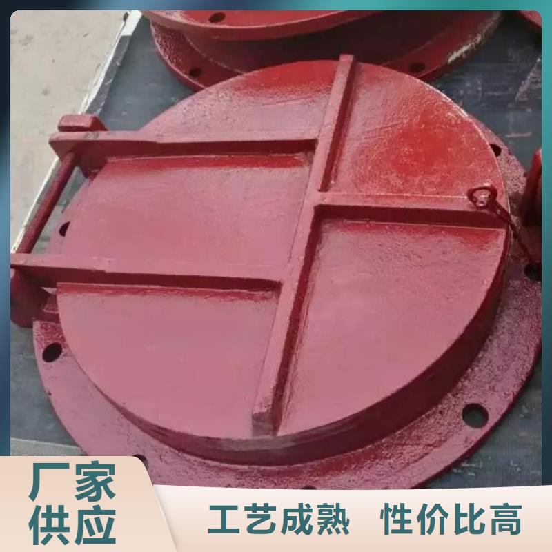 【拍门_钢制闸门专业供货品质管控】
