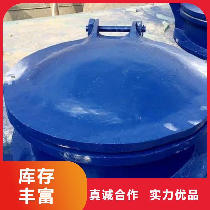 拍门_不锈钢闸门实力才是硬道理