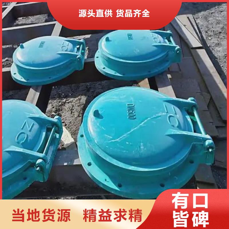 拍门 【卷扬启闭机厂家】用心经营