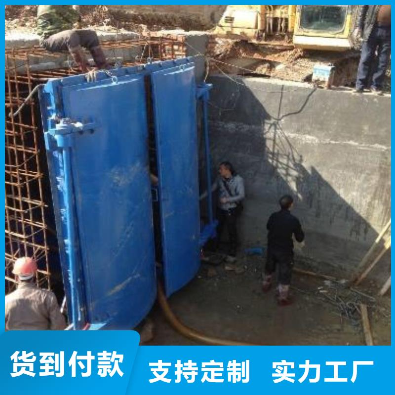 拍门封闭式启闭机打造行业品质