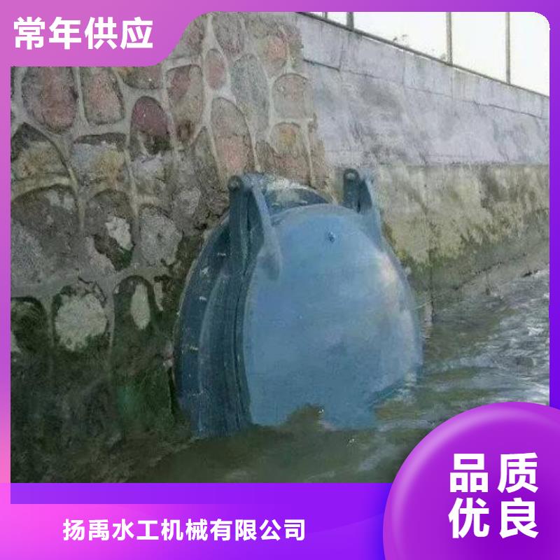 【拍门】,铸铁闸门厂家常年出售