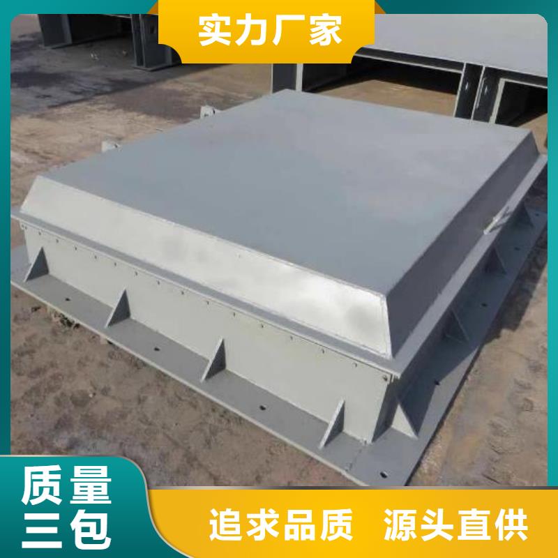 拍门 铸铁拍门自有厂家