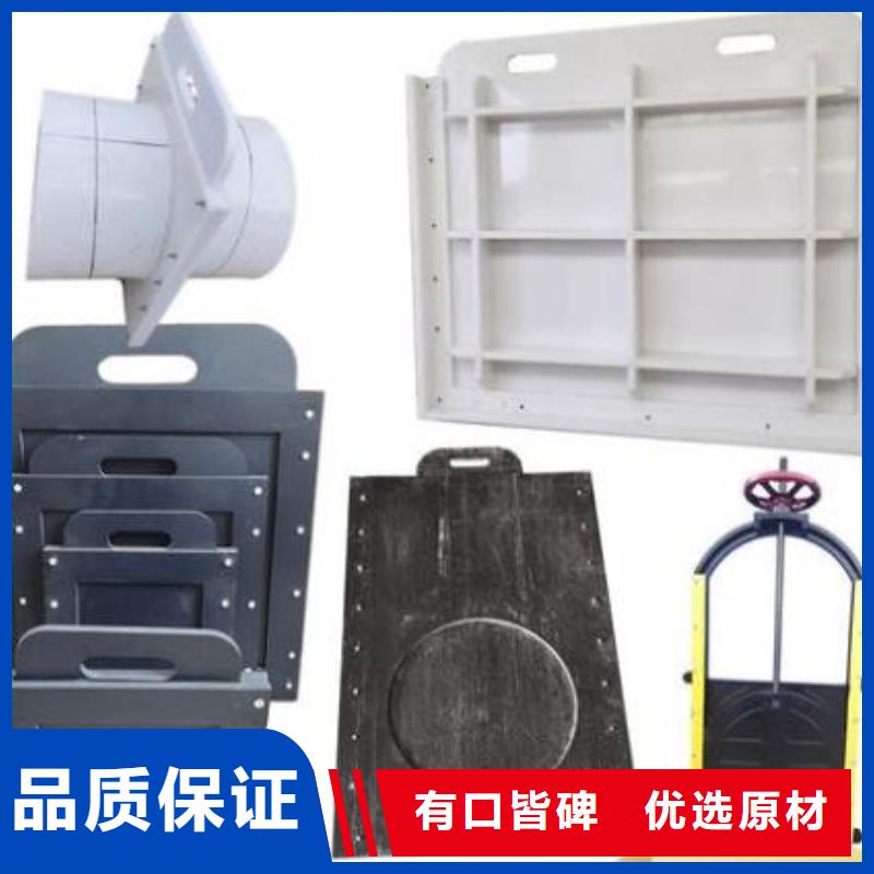 PVC閘門300定制