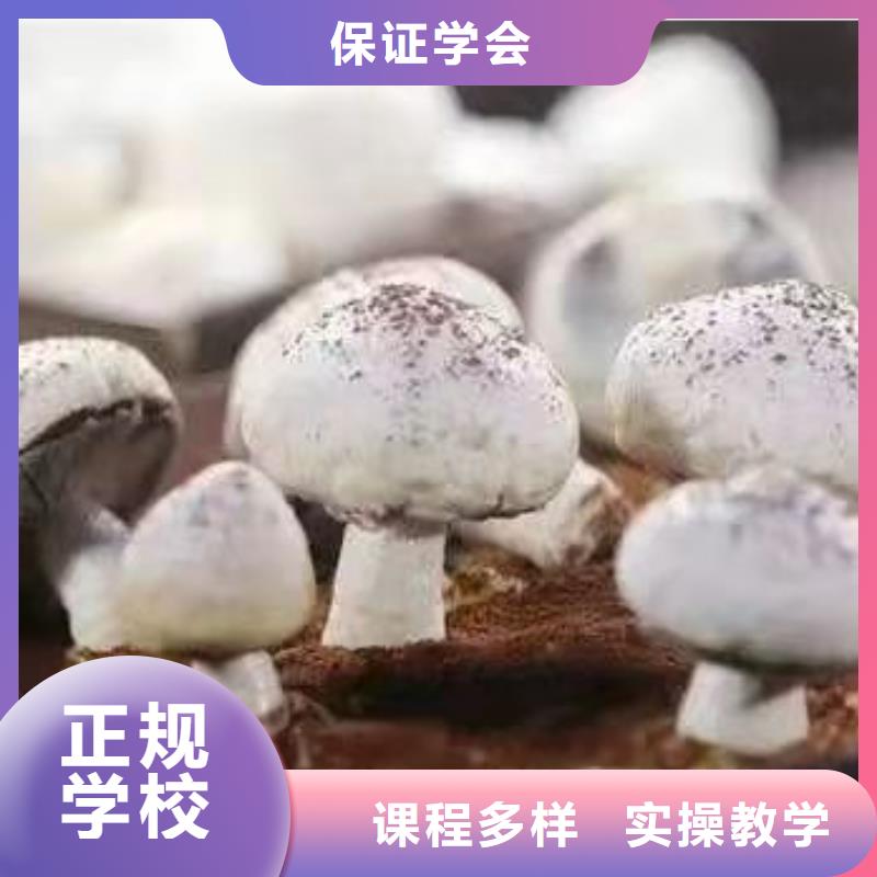 西點學校,廚師技校哪家好全程實操