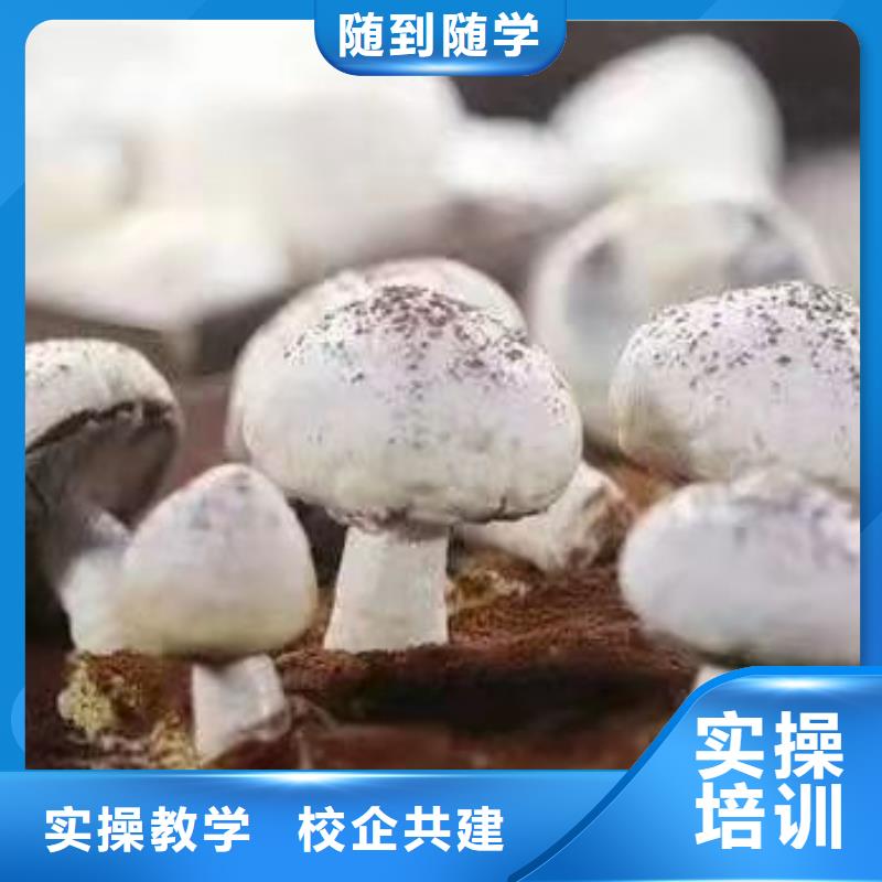 西点学校,【虎振挖掘机怎么样】课程多样|呼伦贝尔|呼和浩特|鄂尔多斯|通辽|乌兰察布14682.com