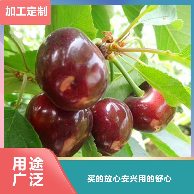櫻桃蘋果苗檢驗(yàn)發(fā)貨