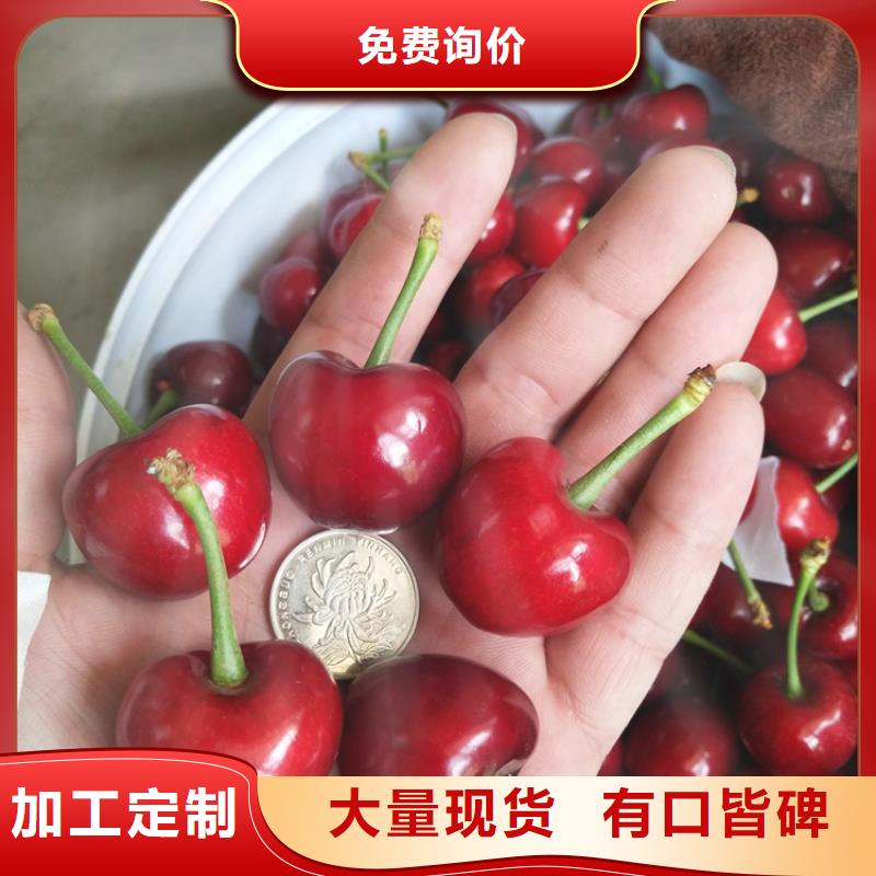 櫻桃蘋果苗檢驗(yàn)發(fā)貨