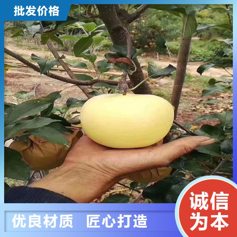 蘋果石榴苗歡迎來電詢價