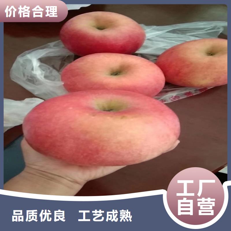 蘋果櫻桃苗源頭廠家供應(yīng)