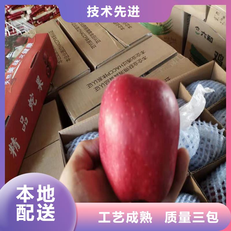 苹果,梨树苗来图定制