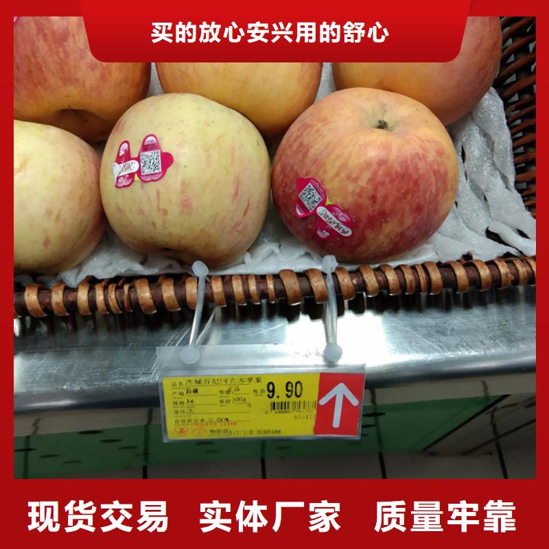 蘋果櫻桃苗多年行業(yè)積累
