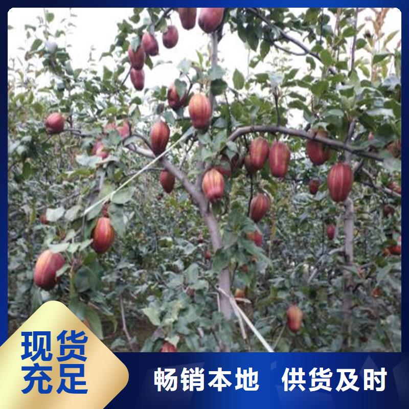 【梨樹】桃樹苗快速發(fā)貨