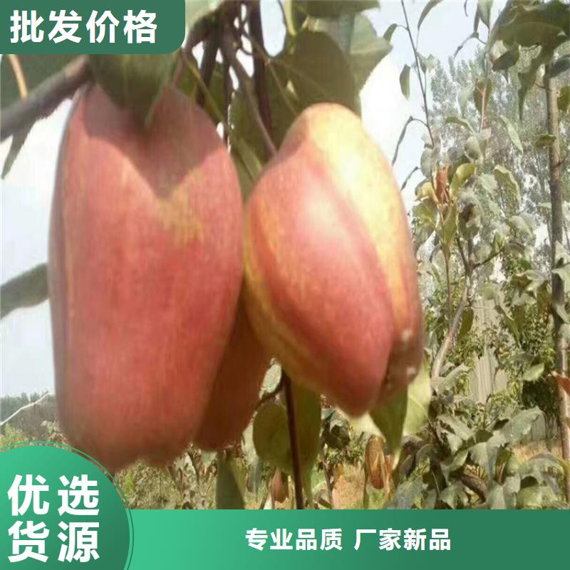 【梨樹】桃樹苗快速發(fā)貨