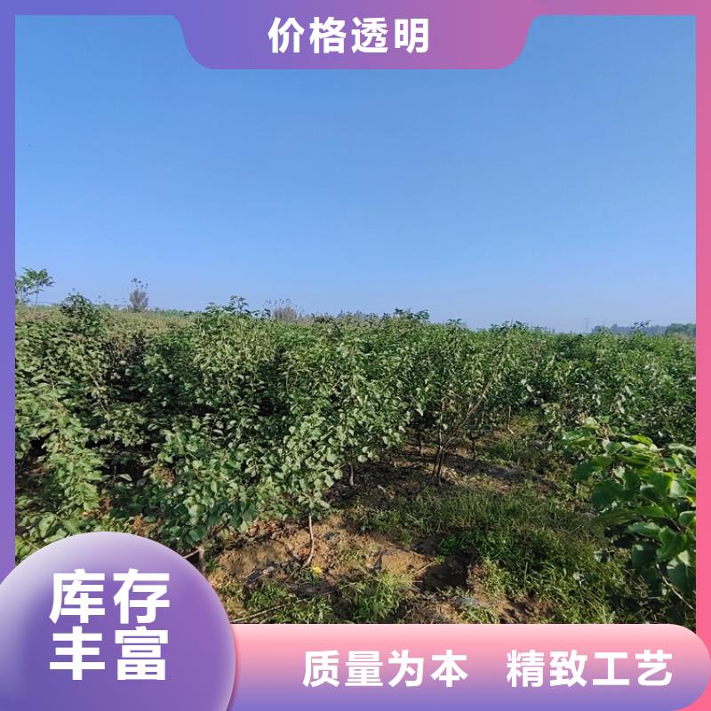 梨樹奶油草莓出貨及時