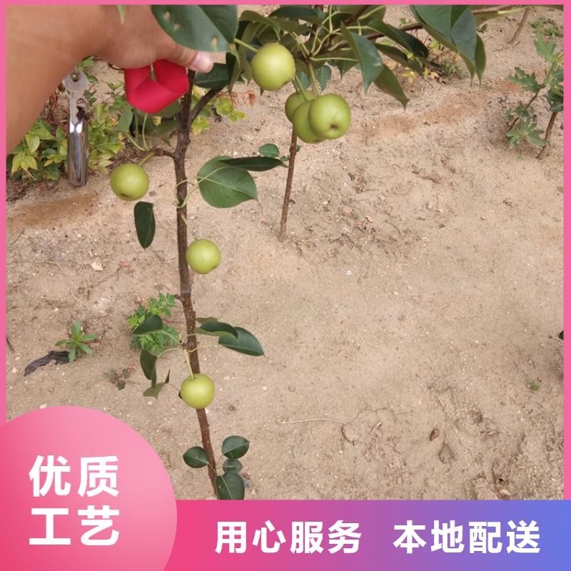 梨樹黃瓜苗設計制造銷售服務一體