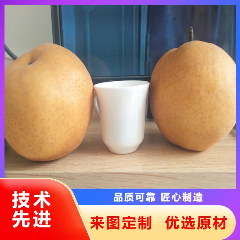 梨樹【櫻桃苗】一站式采購商家