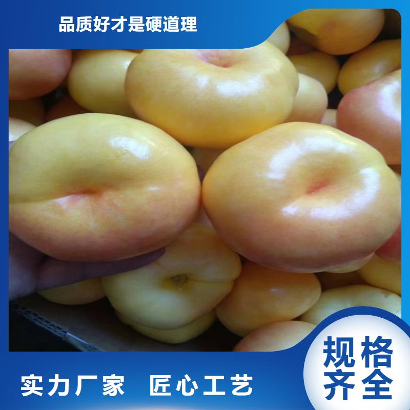 桃,獼猴桃苗多種場景適用