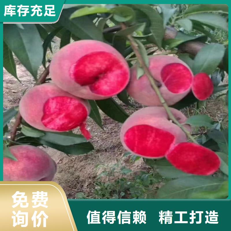 桃_西瓜苗實(shí)力公司