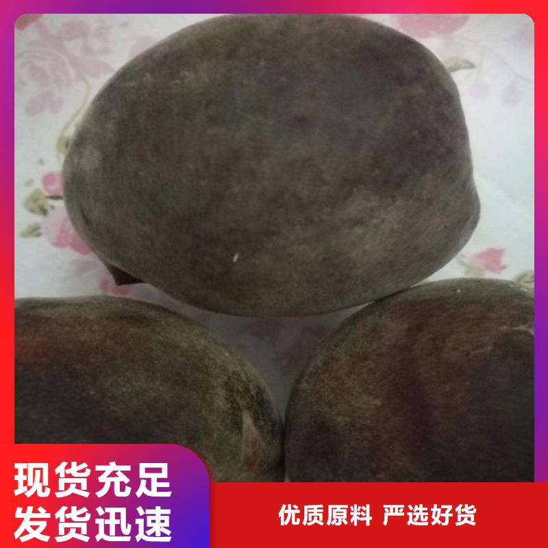 【桃】蘋果苗經(jīng)久耐用