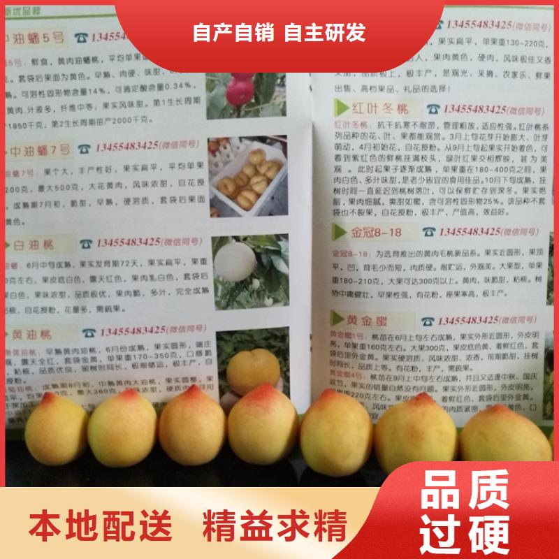 【桃葡萄苗大庫存無缺貨危機】