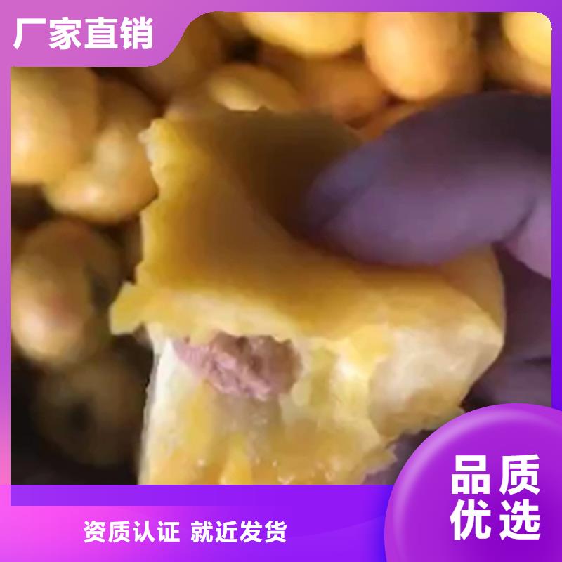 【桃】-桃樹苗經久耐用