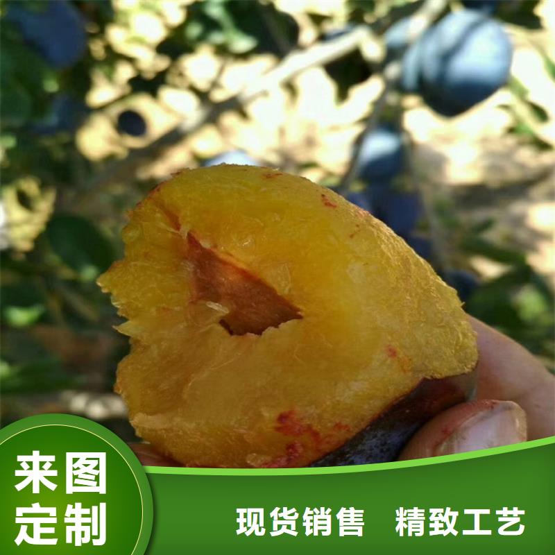 李子【葡萄苗】一站式采购商