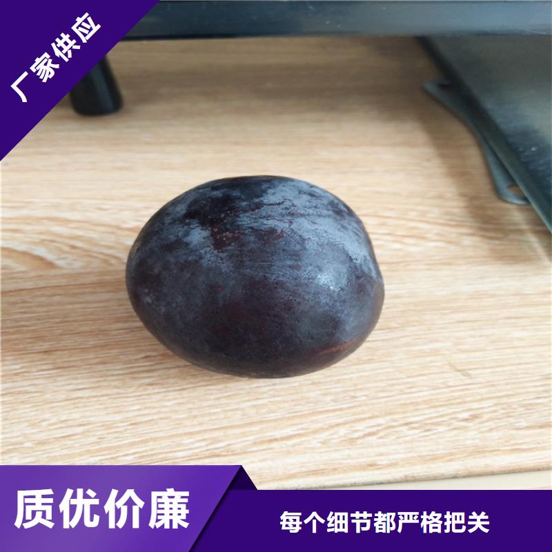 李子,桃樹苗好廠家有擔當