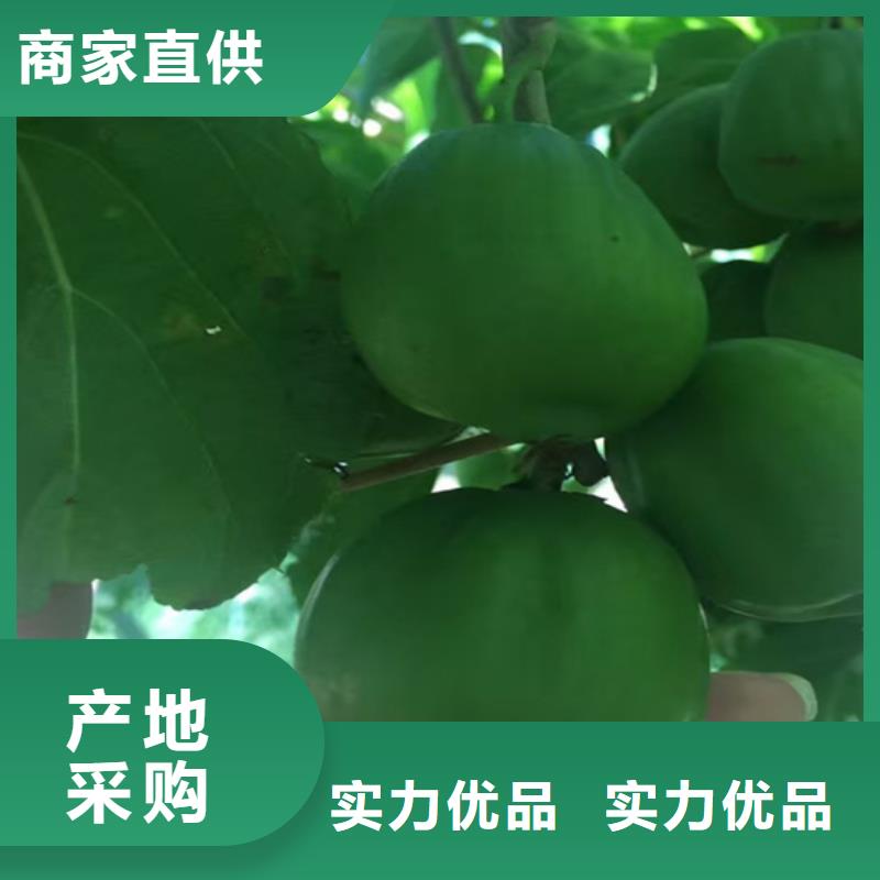 獼猴桃,櫻桃苗供應(yīng)商