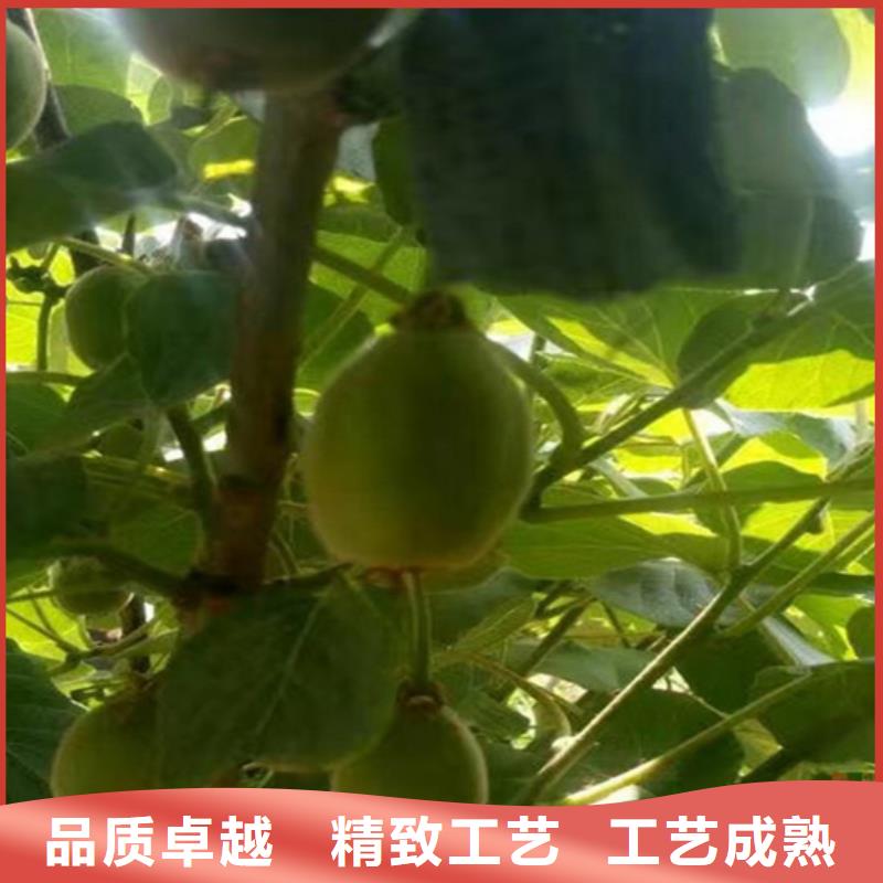 獼猴桃,櫻桃苗核心技術