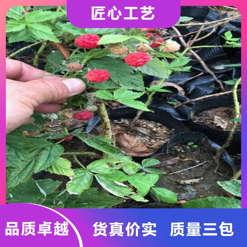 樹莓_奶油草莓做工精細(xì)