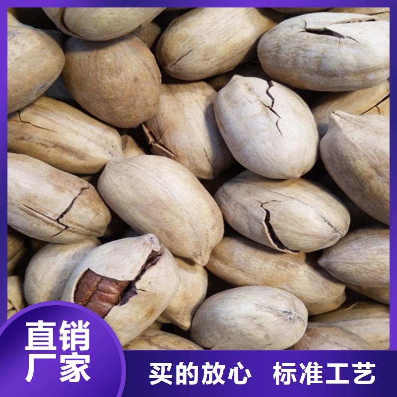 碧根果西瓜苗質量不佳盡管來找我