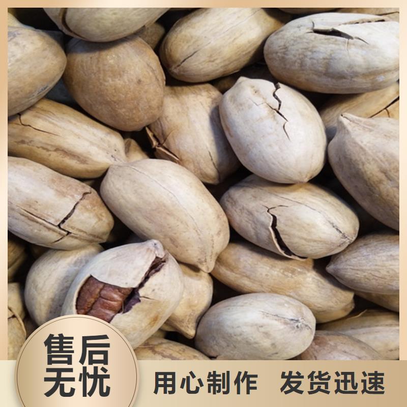 碧根果【藍莓苗】好品質用的放心