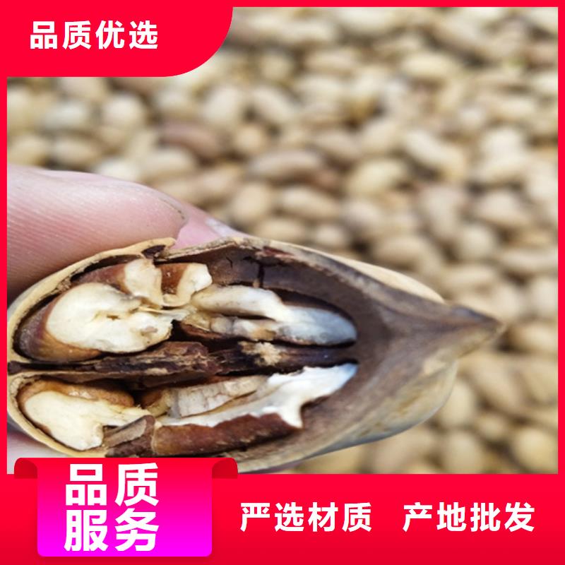 碧根果_石榴樹苗生產(chǎn)型