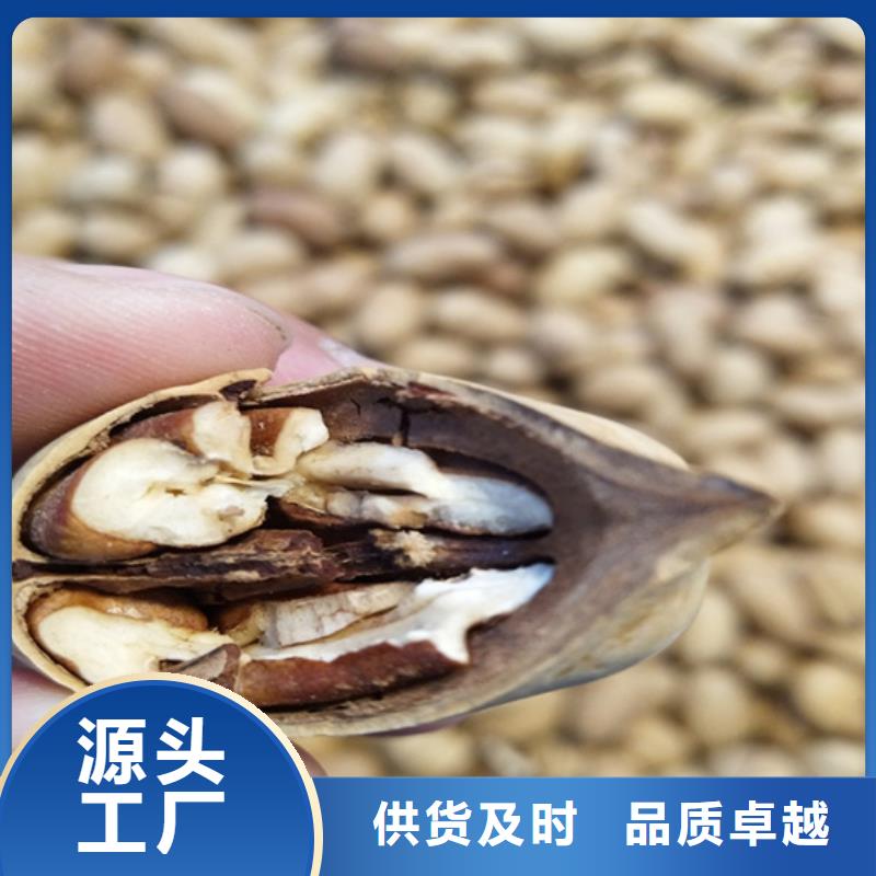 碧根果西瓜苗質量不佳盡管來找我