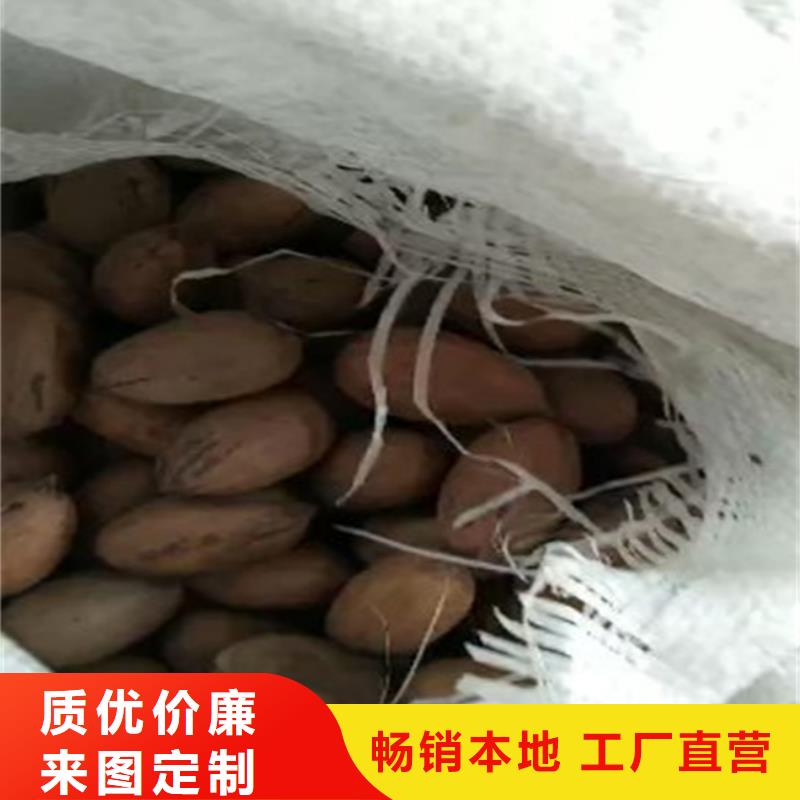碧根果西瓜苗質(zhì)量不佳盡管來找我
